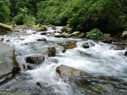 【5月24日～6月23日】 九份紅燈籠祭り